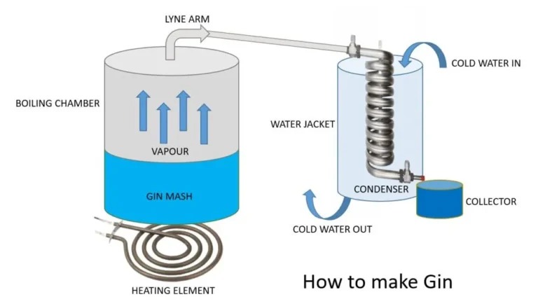 Come È Fatto Il Gin: Quali Sono Gli Ingredienti E Il Processo