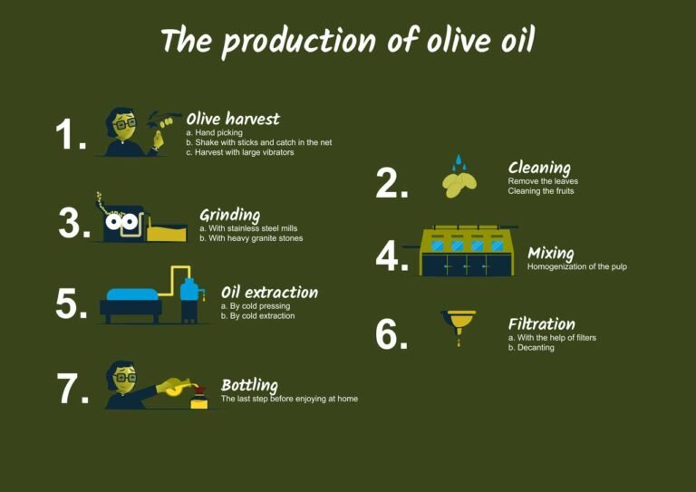 Come si fa l’olio di oliva: Qual è il processo di produzione