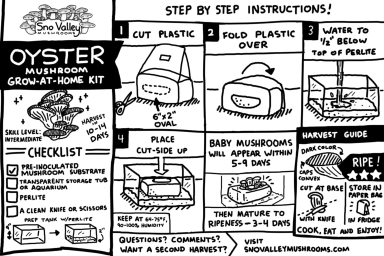 Come Si Usa un Kit di Coltivazione Funghi in Casa Passo Dopo Passo