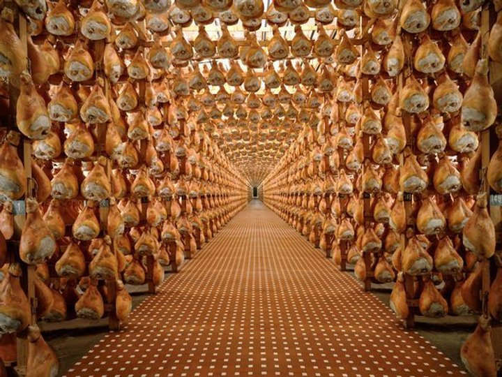 Cosa Si Può Vedere Al Museo Del Prosciutto Di Parma 7 cosa si puo vedere al museo del prosciutto di parma