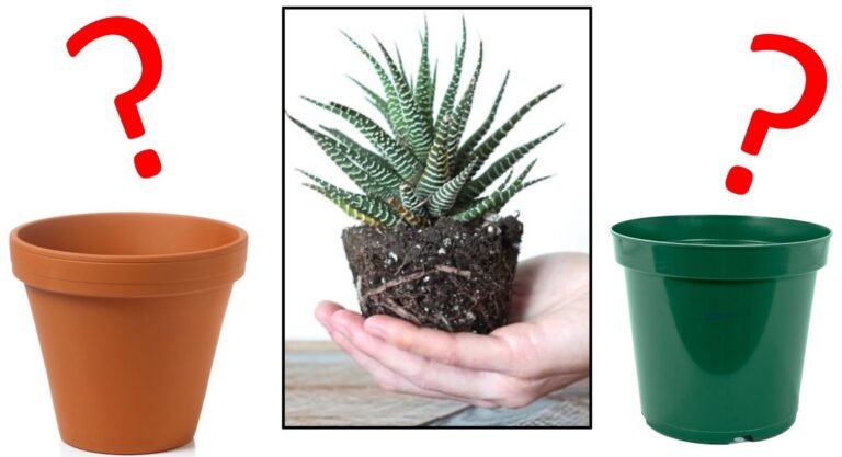 Quali Sono I Vantaggi Dei Vasi Di Plastica Per Fiori Rispetto Al Terracotta