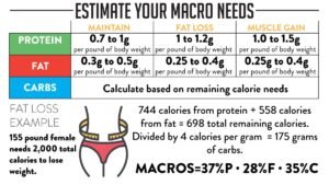 quante calorie al giorno servono per mantenere il peso ideale